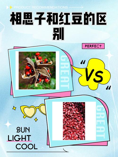 红豆和相思有什么关系