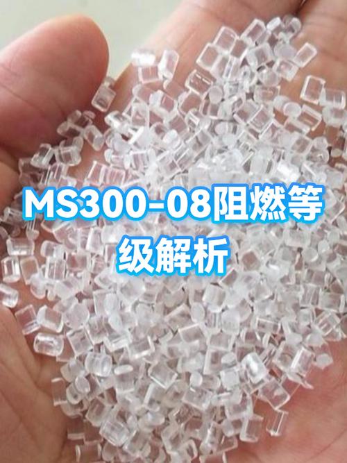 MS300-08截图