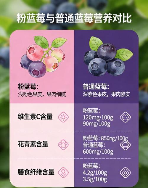 蓝莓的营养价值