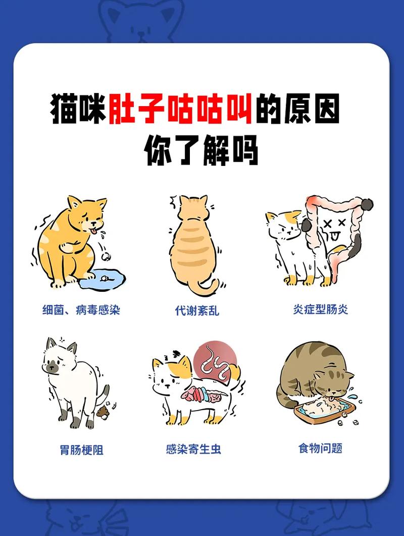 猫咪咕咕咕咕响到底是为什么