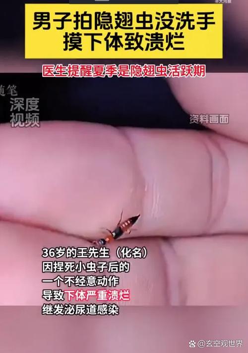 我的世界电脑版怎么隐藏右手图标