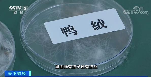 刚买了老国标2011的羽绒服怎么办