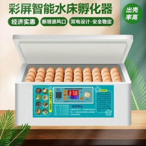 小型孵化器多少钱一台
