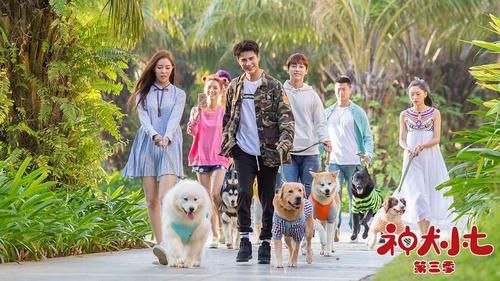 神犬小七3在线观看免费观看
