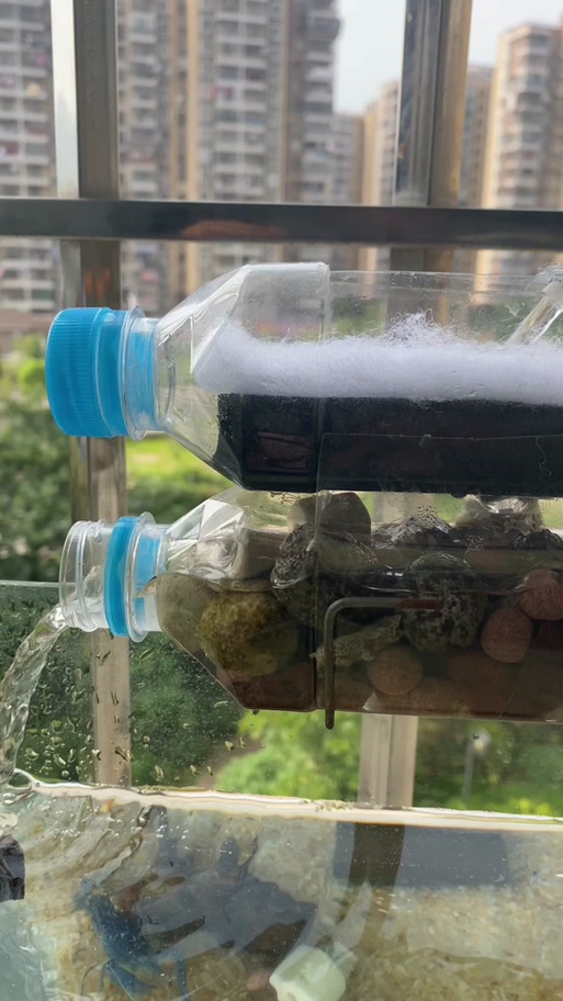 自制金鱼缸水循环