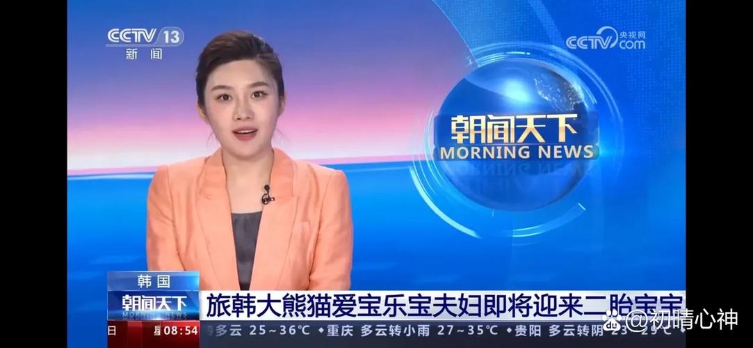 爱宝二胎最新消息