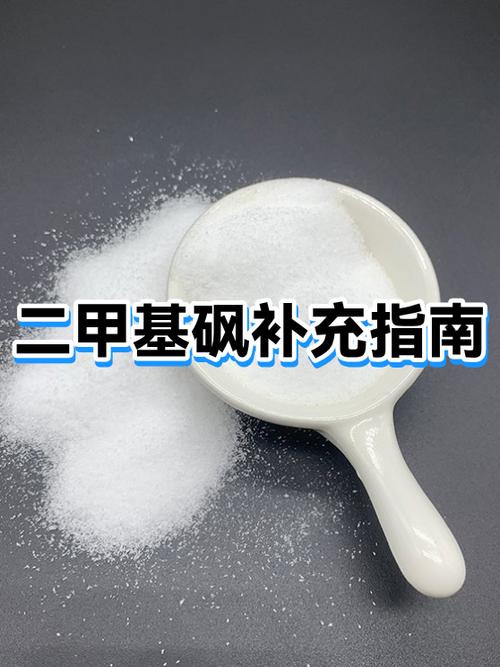 msm是什么意思