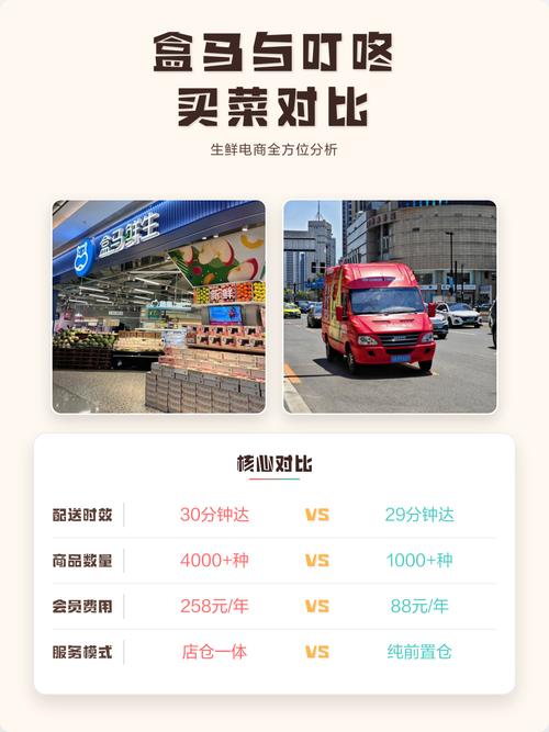 叮咚买菜和盒马