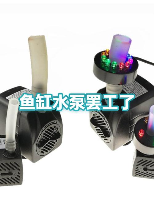 鱼缸的抽水泵突然不工作了