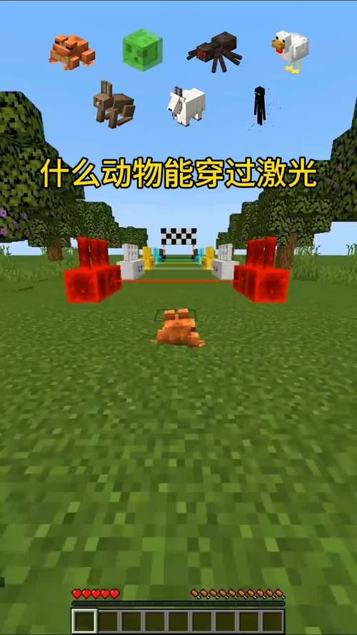我的世界出走视频