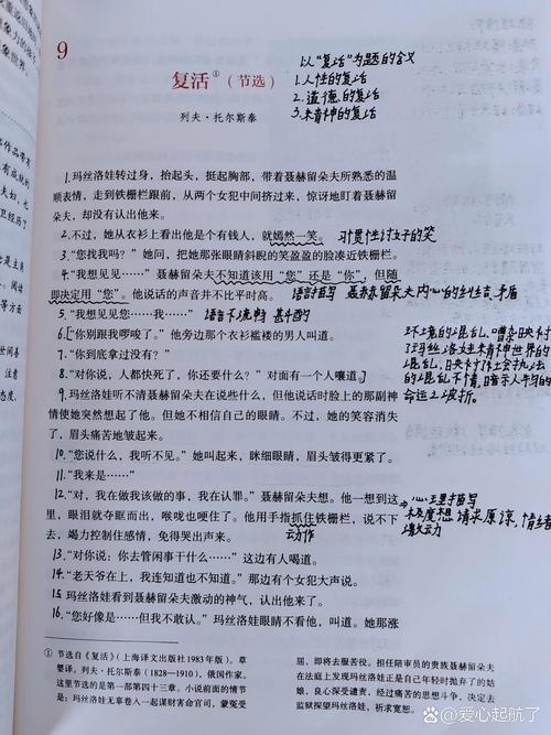 荒野之春菠萝笔记