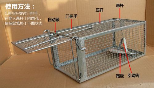 捕捉笼是哪个模组