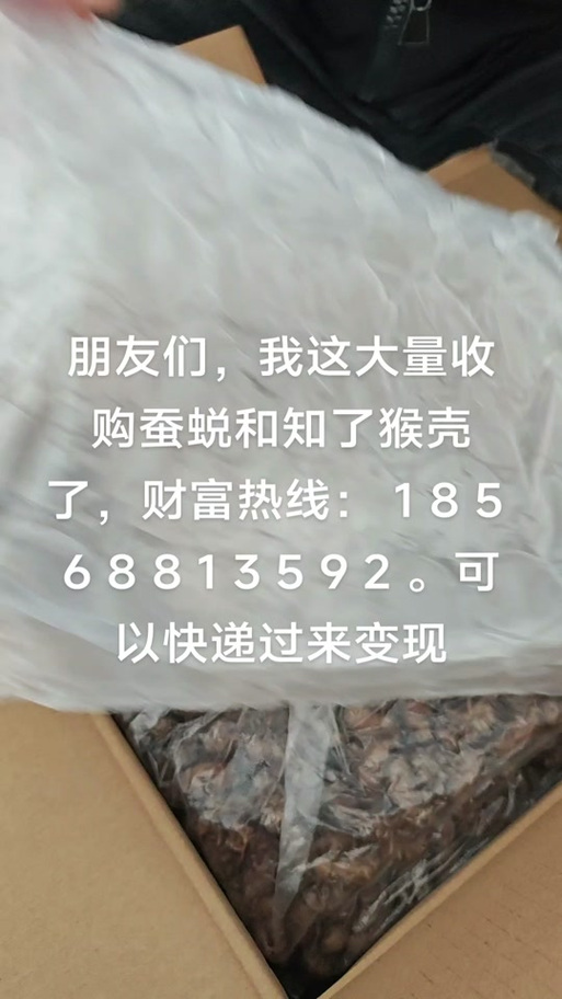 知了购是什么样的平台