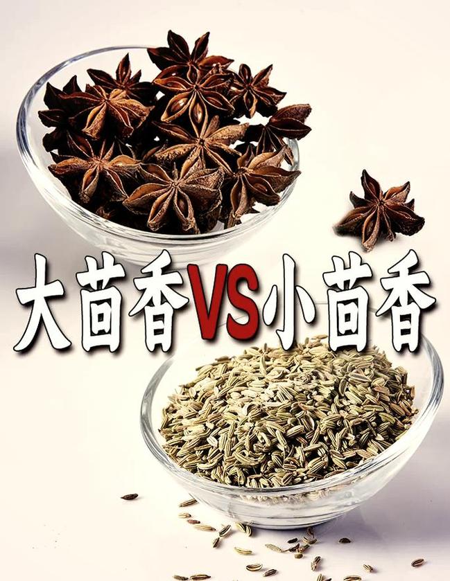 大茴香和小茴香区别