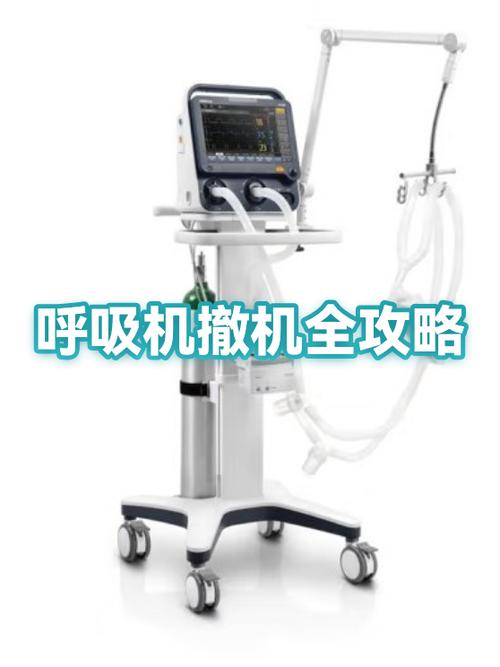 SBT医学