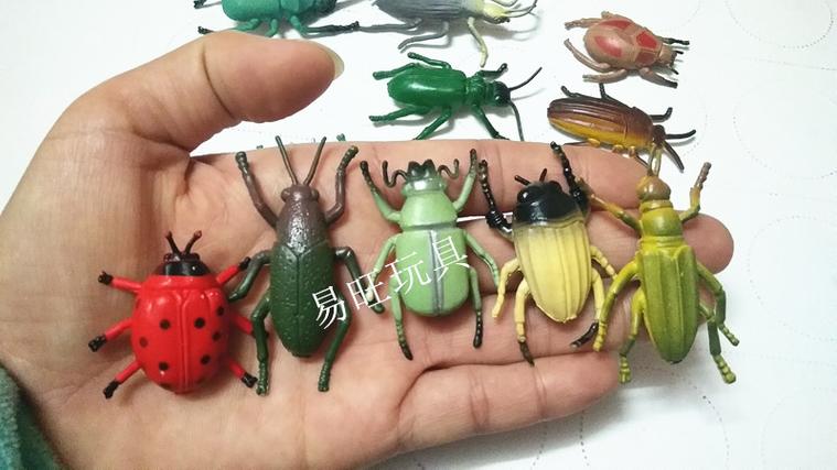 昆虫玩具视频