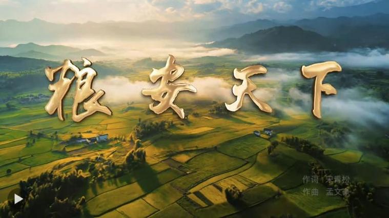 粮安天下