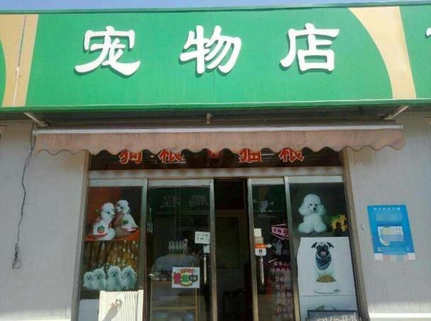 离我最近的宠物店缩略图