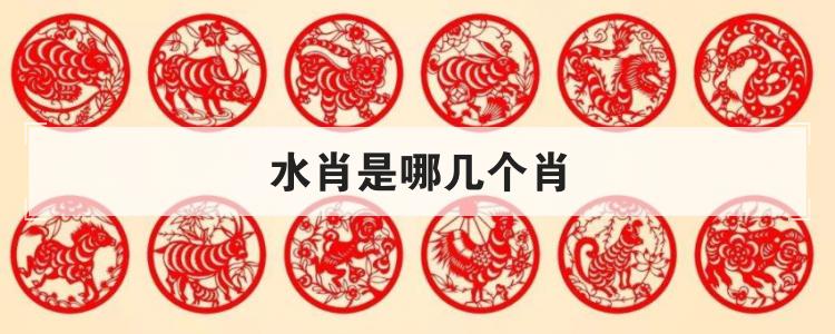水肖最简单三个生肖