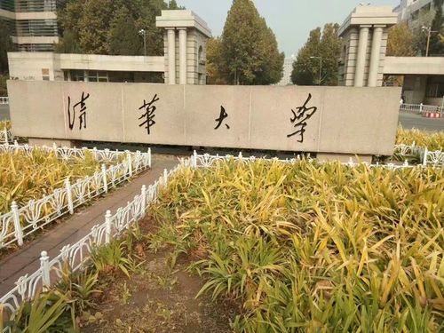 清华大学杨改慧