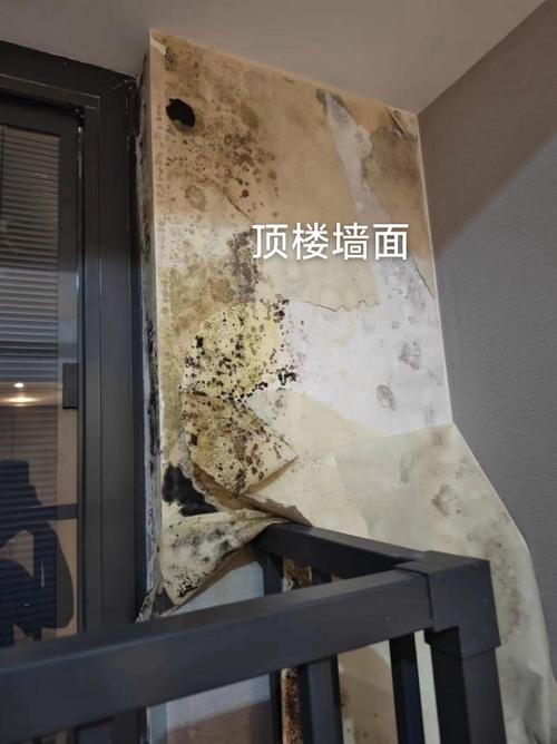 顶楼发霉能彻底解决吗