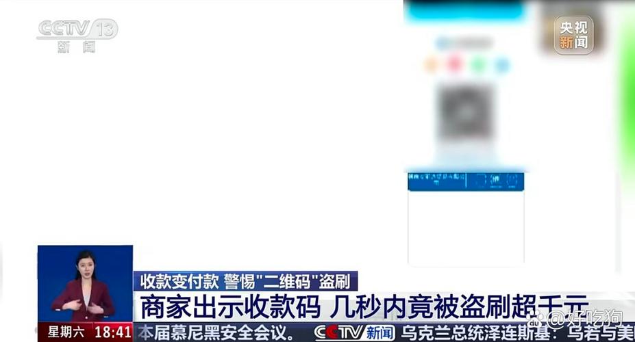 支付宝付款码被盗刷游戏截图