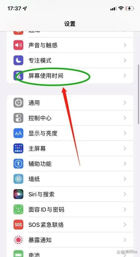 苹果如何设置儿童限制