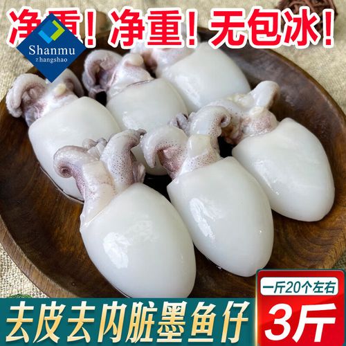小海兔是墨鱼还是鱿鱼