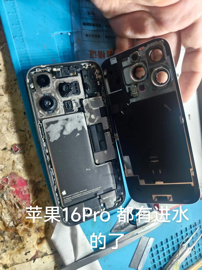 手机进水了能修复吗