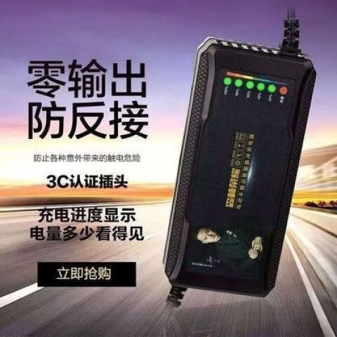 智能脉冲充电器什么意思缩略图