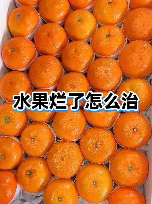 网购水果烂了怎么办