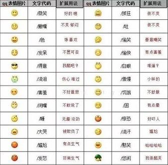 2022表示什么意思