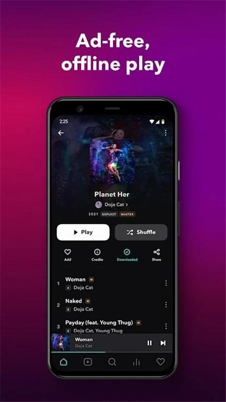 tidal中文版下载