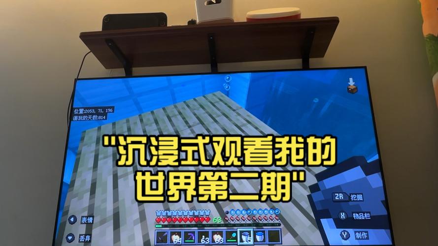 我的世界观看图标