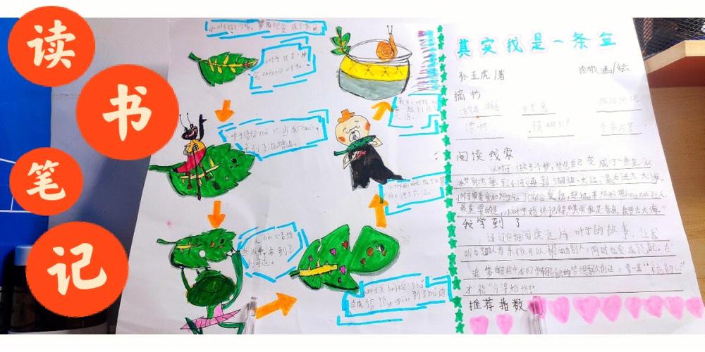 其实我是一条鱼续写结尾