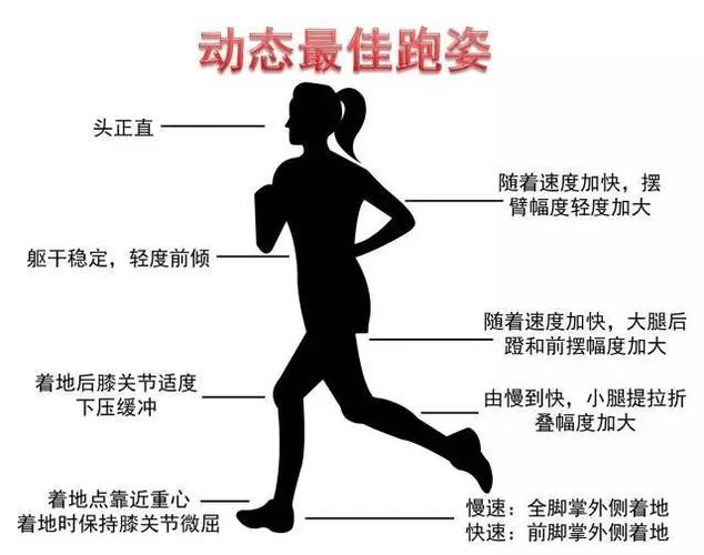 跑步的技巧与方法缩略图