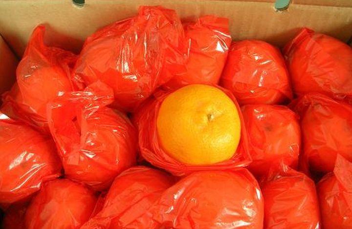 芦柑为什么要包塑料袋