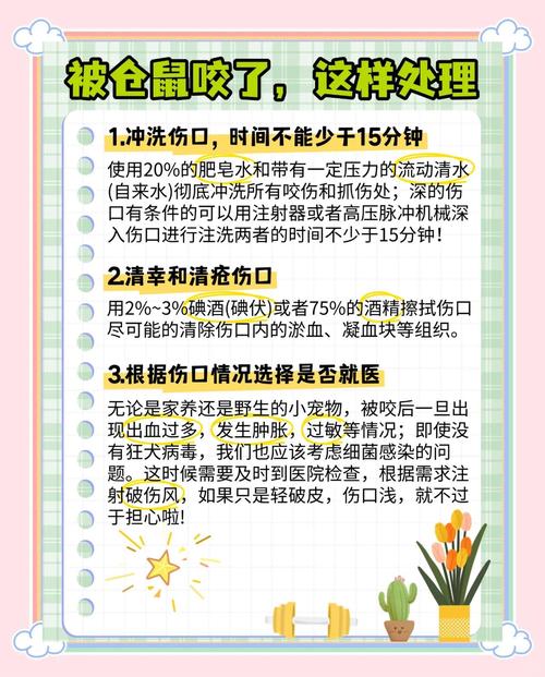 手被仓鼠咬了有事吗