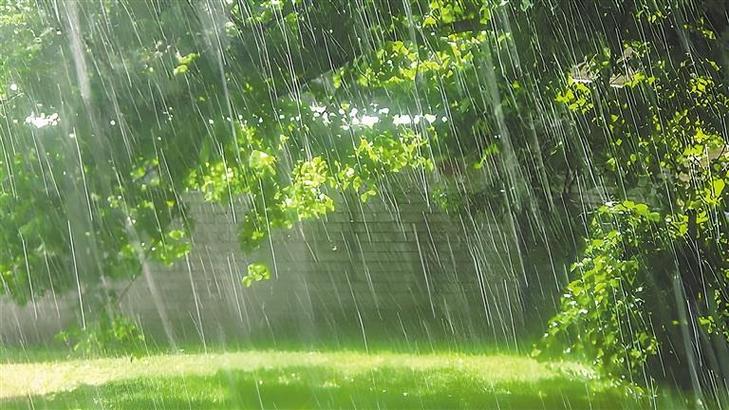 描写雨的字