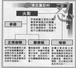 暗部和根的区别