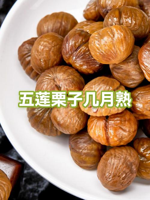 板栗仁煮多久能熟