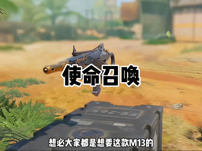 使命召唤下个赛季2024
