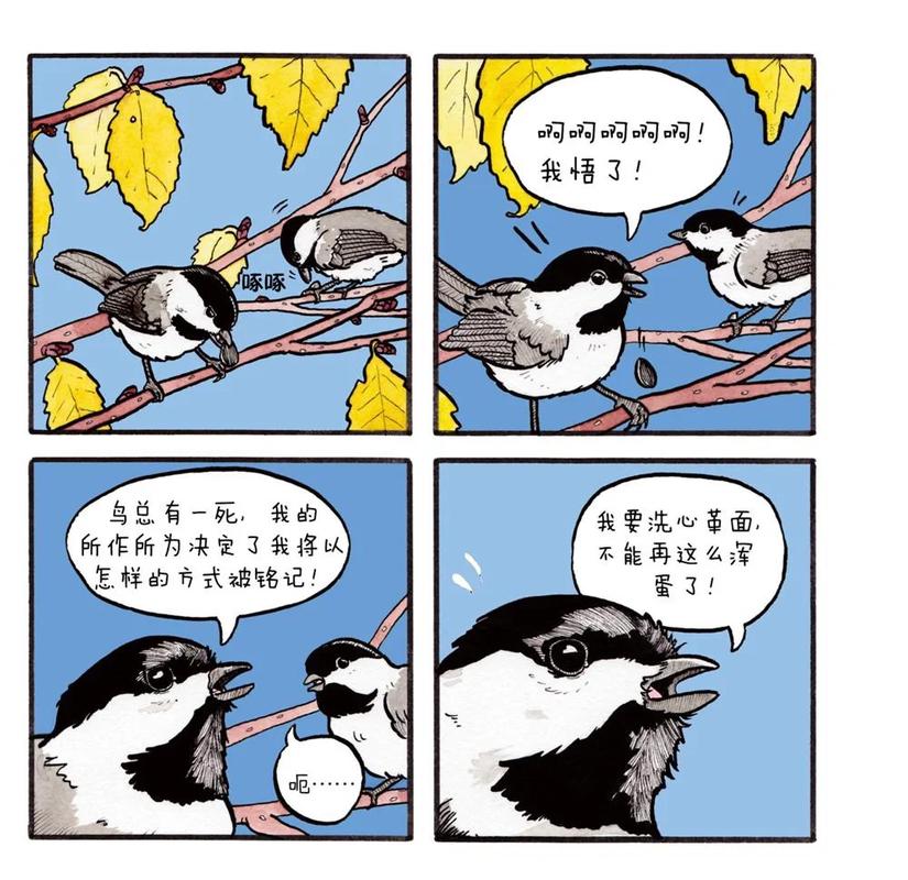笨鸟漫画官网