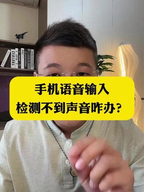手机语音识别不准确