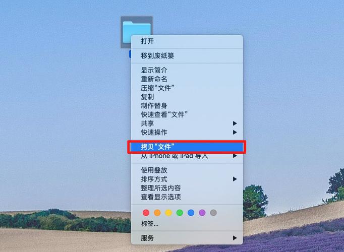 mac拷贝图像怎么粘贴