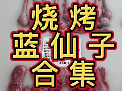 东北烧烤蓝仙子是啥