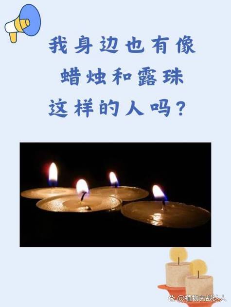 用蜡烛比喻什么人