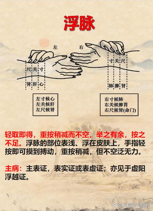 脉象平稳可以代表什么