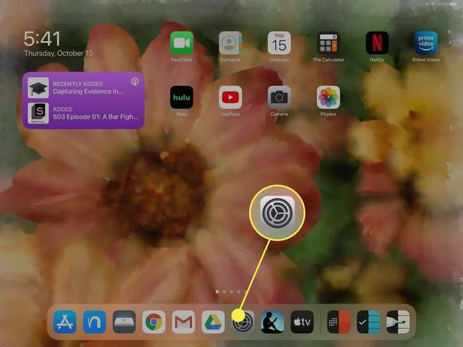 ipad缓存清理缩略图