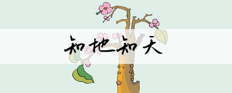 知着的意思是什么